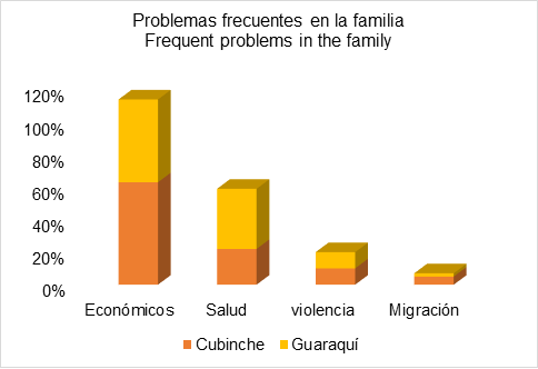Problemas frecuentes en la familia