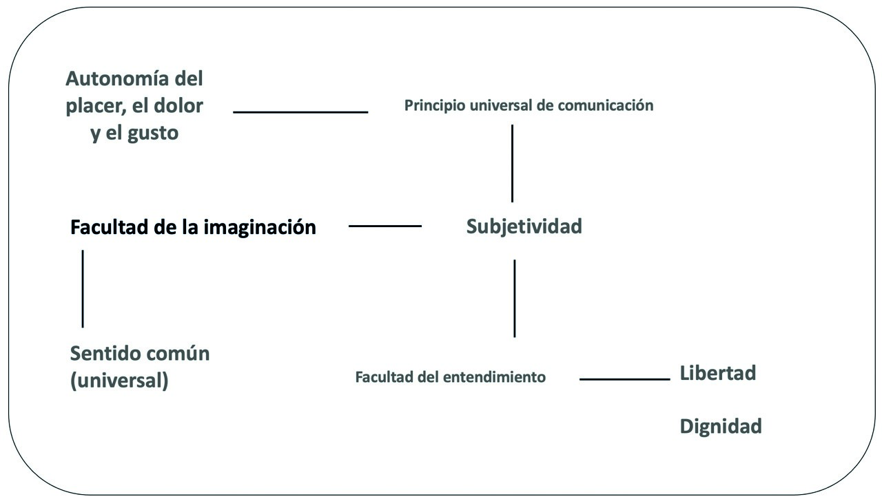 Imaginación y Subjetividad
