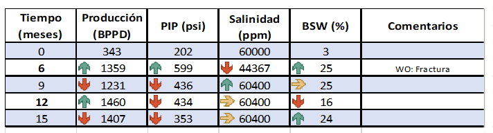  Resumen del an&aacute;lisis del pozo SHSV-192