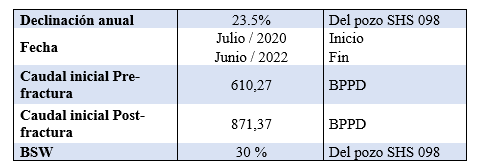 Resumen del an&aacute;lisis del pozo SHST-098