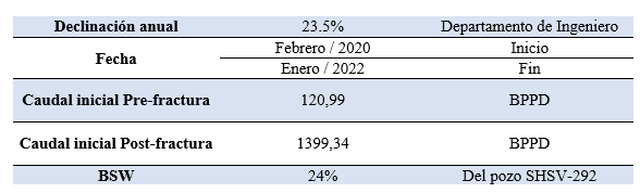  Resumen del an&aacute;lisis del pozo SHSV-192