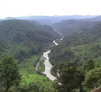 Vista del Río Blanco desde el Borde Superior del Campamento
SMB y Paisajismo