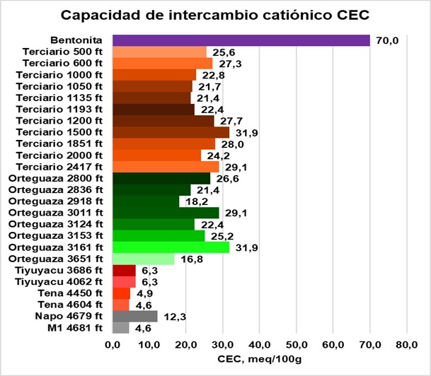 Capacidad de intercambio
catiónico CEC de la columna litoestática
