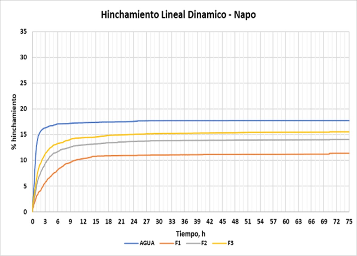Hinchamiento lineal de Napo
en la secci&oacute;n 12 &frac14;&ldquo;