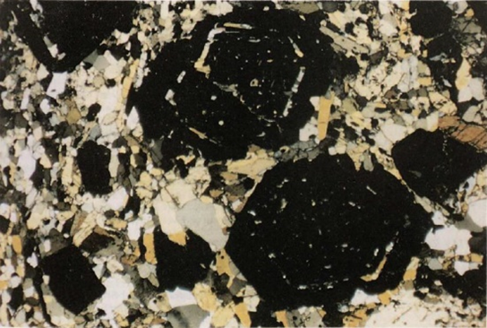 Microfotografía
en luz polarizada de la eclogita de la Unidad La Chilca