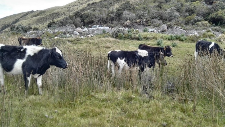 Zona con intervención media