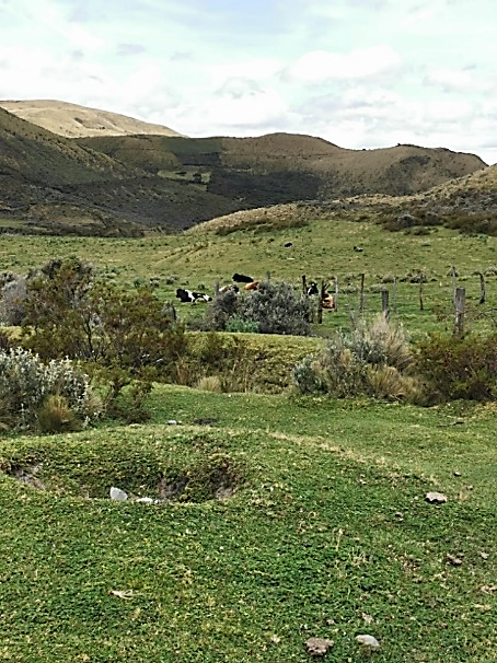 Zona con intervención alta