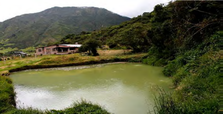 Manantial del balneario
mineromedicinal “Urauco”. Provincia de Pichincha. Ecuador