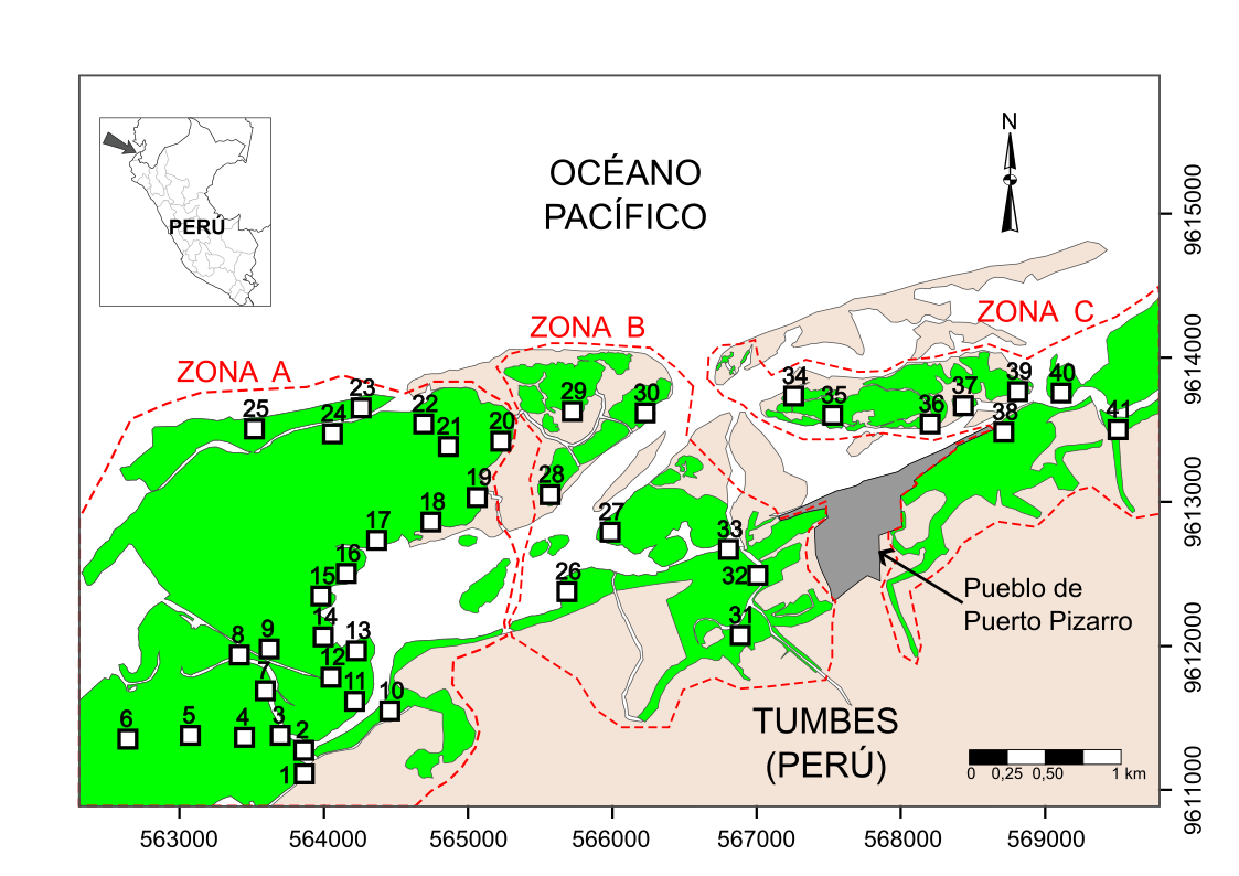  Zonas y parcelas de muestreo en el manglar de
Puerto Pizarro