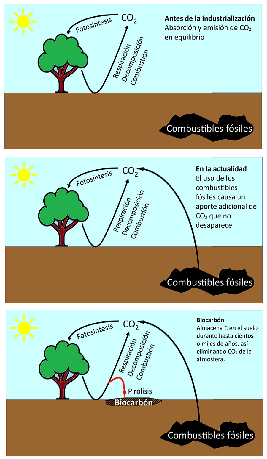 El principio de la eliminación de CO₂ de la atmósfera basada en la elaboración de biocarbón.