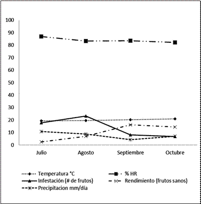 Rendimiento
de frutos sanos mensuales en cuatro cosechas consecutivas, de acuerdo a
temperatura, humedad relativa, precipitaci&oacute;n e infestaci&oacute;n, en la
evaluaci&oacute;n de extractos vegetales y agentes microbiol&oacute;gicos para el control de Neoleucinodes elegantalis.
