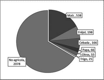 Área de los
principales cultivos producidos en la agricultura familiar indígena (m2).