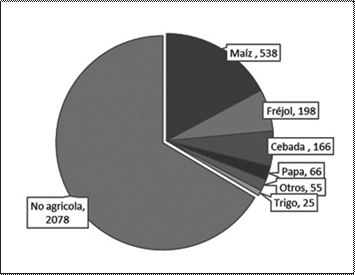 &Aacute;rea de los
principales cultivos producidos en la agricultura familiar ind&iacute;gena (m2).