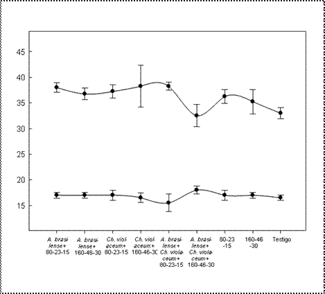 Efecto de biofertilizantes sobre el n&uacute;mero de hileras y granos por hileras en mazorca de ma&iacute;z. La l&iacute;nea vertical indica &plusmn; el
error est&aacute;ndar de cuatro repeticiones. (Azos b) = Azospirillum brasilense, (Chro v)= Crhomobacterium violaceum, (Test)= Testigo