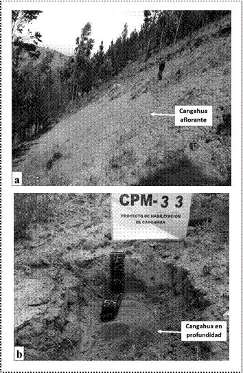 Levantamiento de información en campo. (a) Cangahua aflorante donde se ha perdido totalmente el suelo y la vegetación de cobertura, toma de punto de observación. (b) Cangahua en profundidad
cubierta por una delgada capa de suelo encontrada mediante una pequeña excavación (minicalicata o cajón), en el sitio también se observa la presencia de vegetación.