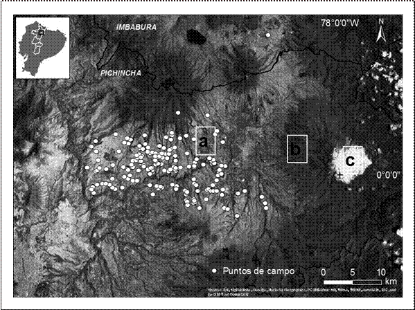 Imagen satelital TerraColor de la zona piloto del levantamiento de información
disponible en ArcGIS Earth
1.5. (a) Patrón espacial de las cangahuas superficiales en zonas secas de los piedemontes de los volcanes de la Sierra.
(b) Zonas húmedas con poca o nula presencia de cangahuas. (c) Cumbre del
volcán Cayambe.