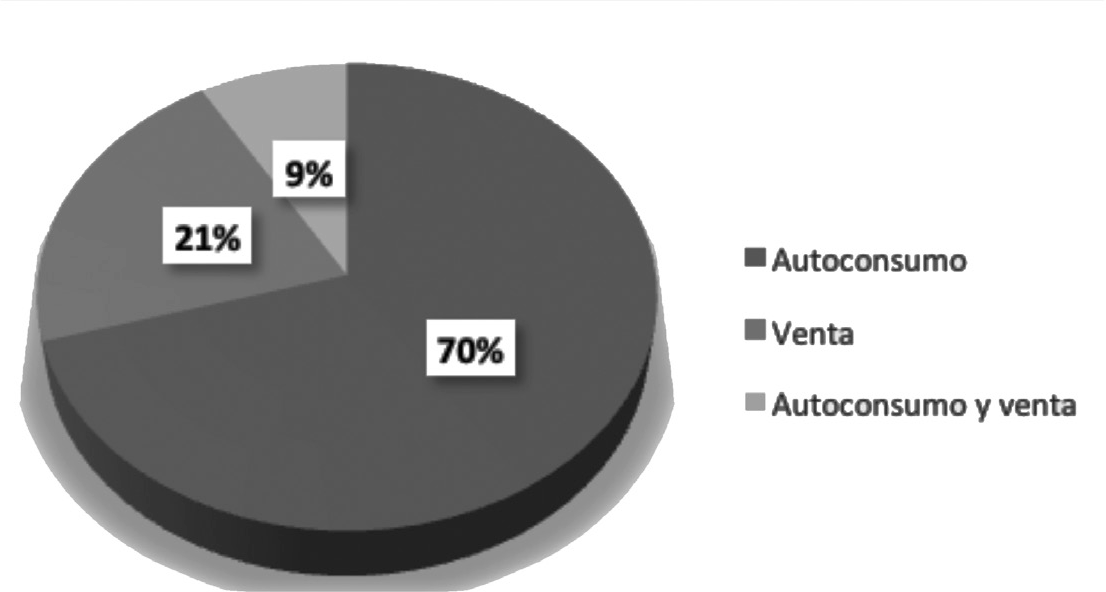 Destino de la
producción de la zona en estudio.