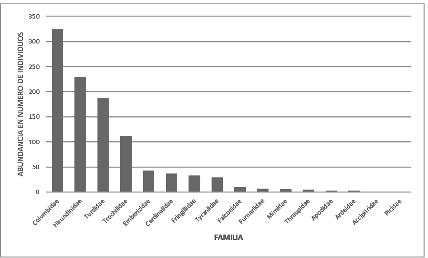 Abundancia de
individuos por familias zoológicas.
