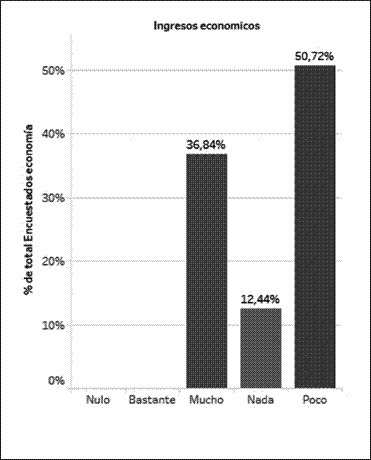Nuevos ingresos económicos
