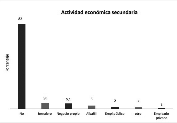 Actividad
econ&oacute;mica secundaria