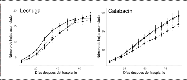 Número de hojas acumuladas en cultivos de lechuga y calabacín bajo dos sistemas de acolchado vivo: trébol (línea de rayas), vegetación espontánea manejada
(línea de puntos) y control sin acolchado (línea sólida). Cada punto representa
la media ± el error estándar (n=5).