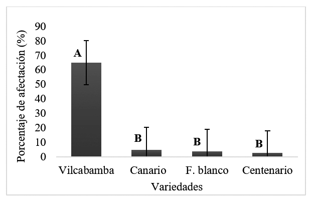 Porcentaje de afectación de la virosis presente en el cultivo de fréjol Phaseolus vulgaris L., obtenido mediante la prueba
de Tukey (p
= <0.05)
