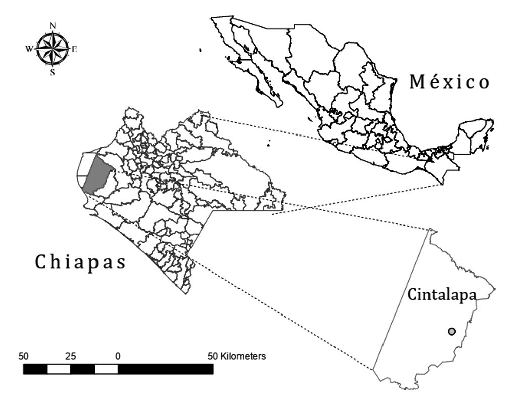 Ubicaci&oacute;n geogr&aacute;fica del &aacute;rea de estudio.