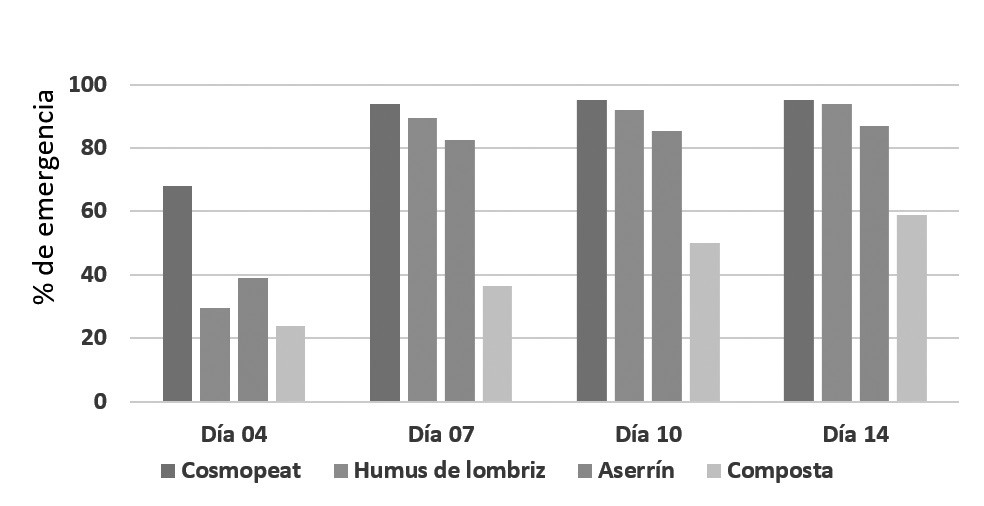  Porcentaje de emergencia del tomate de c&aacute;scara.