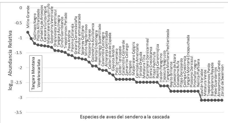 Curva de rango abundancia de la comunidad de aves.