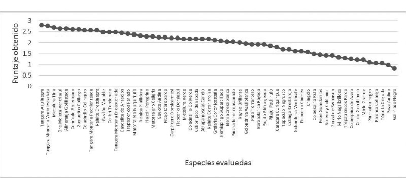  Valor estético de las aves del sendero Cóndor Machay.