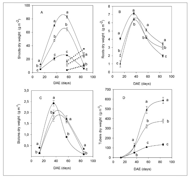 Dry weight accumulation patterns of different organs for the three fertilization treatments: 0-N (●), 133-N (○) and 400-N (▲) during days after emergence (DAE). The curves correspond to the adjustments with the polynomial (A,B,C) and Gompertz functions (D). The dotted lines represent necromass. Different letters indicate significant differences between treatments per sampling period (p<0.05).