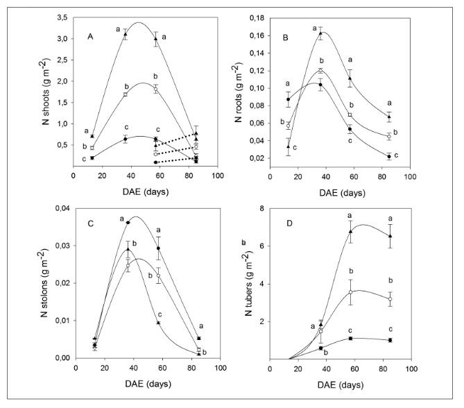 Patterns of accumulated nitrogen in total dry weight for shoots, A; roots, B; stolons, C; and tubers, D; during the days after emergence (DAE) for the different nitrogen fertilization treatments: 0-N (●) 133-N (○) and 400-N (▲). The curves correspond to the adjustments with the polynomial (A,B,C) and Gompertz functions (D). Different letters indicate significant differences between treatments per sampling period (p<0.05).