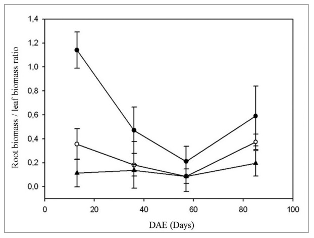 Effect of nitrogen fertilization treatments [0-N (●), 133-N (○) and 400-N (▲)] on the root biomass / leaf biomass ratio during days after emergence (DAE). Mean values are presented &plusmn; standard deviation.
