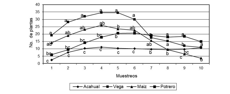  Plantas de hoja ancha emergidas en el banco de semillas.