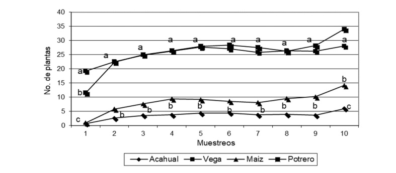  Plantas de hoja angosta emergidas en el banco de semillas.