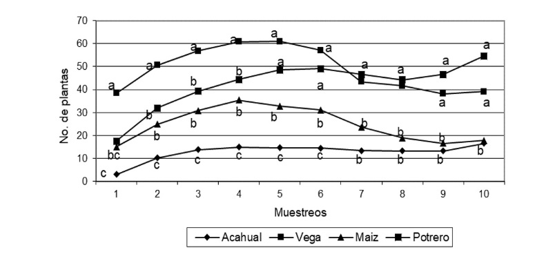  Plantas totales emergidas en el banco de semillas.