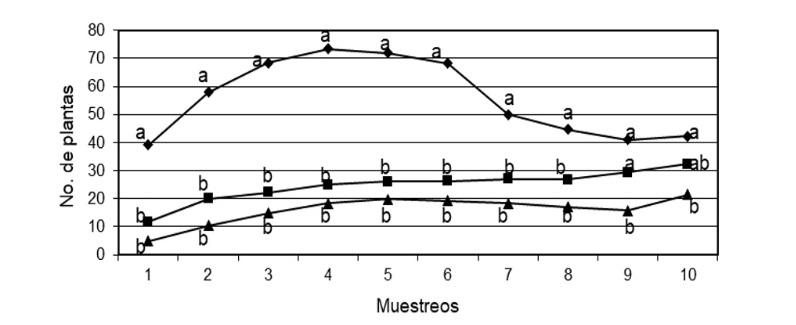  Plantas emergidas a diferentes profundidades.