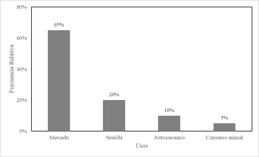  Destino de la producción de variedades de papa nativa.