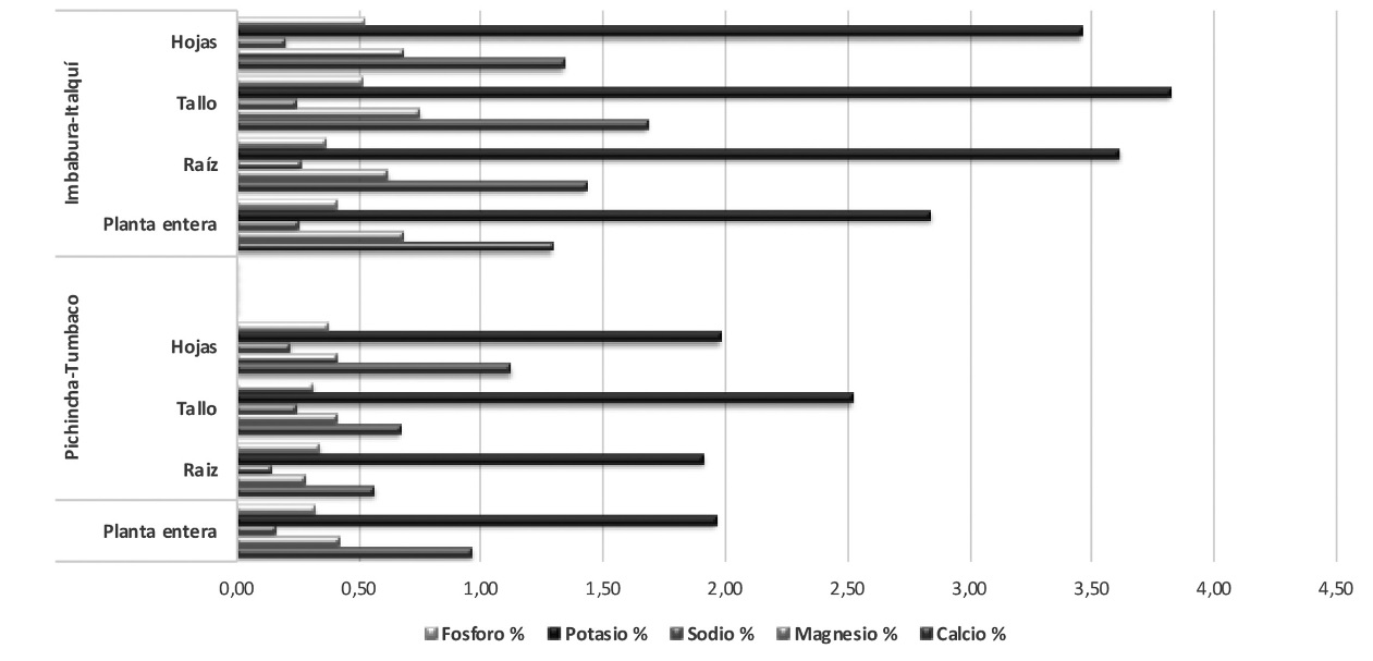  Porcentaje de macrominerales de planta de orégano ECU-20229 de Pichincha e Imbabura, resultados en base seca.