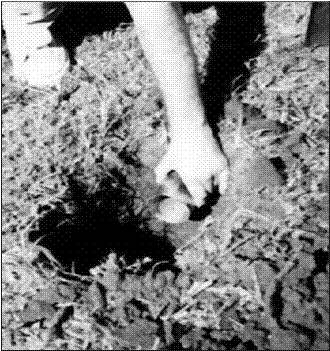 Cilindro para la
medici&oacute;n y chequeo del contenido de agua en el suelo.