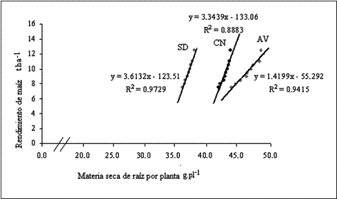 Relaci&oacute;n entre
el rendimiento del ma&iacute;z y la MSR.
