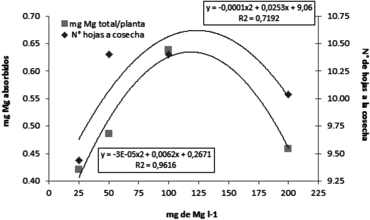 Relaci&oacute;n entre el n&uacute;mero de hojas a la
cosecha del experimento, con la cantidad total de Mg absorbido por la planta,
seg&uacute;n la concentraci&oacute;n de Mg de la soluci&oacute;n nutritiva.