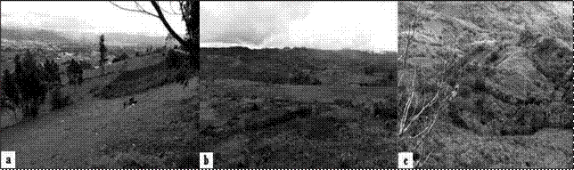 &Aacute;reas representativas de los suelos de la Sierra ecuatoriana, a) Chambo, Chimborazo (Sierra Norte), b) Sigsig, Azuay (Sierra Centro) y c) Olmedo, Loja (Sierra Sur) (adaptado de Moreno et al., 2016).