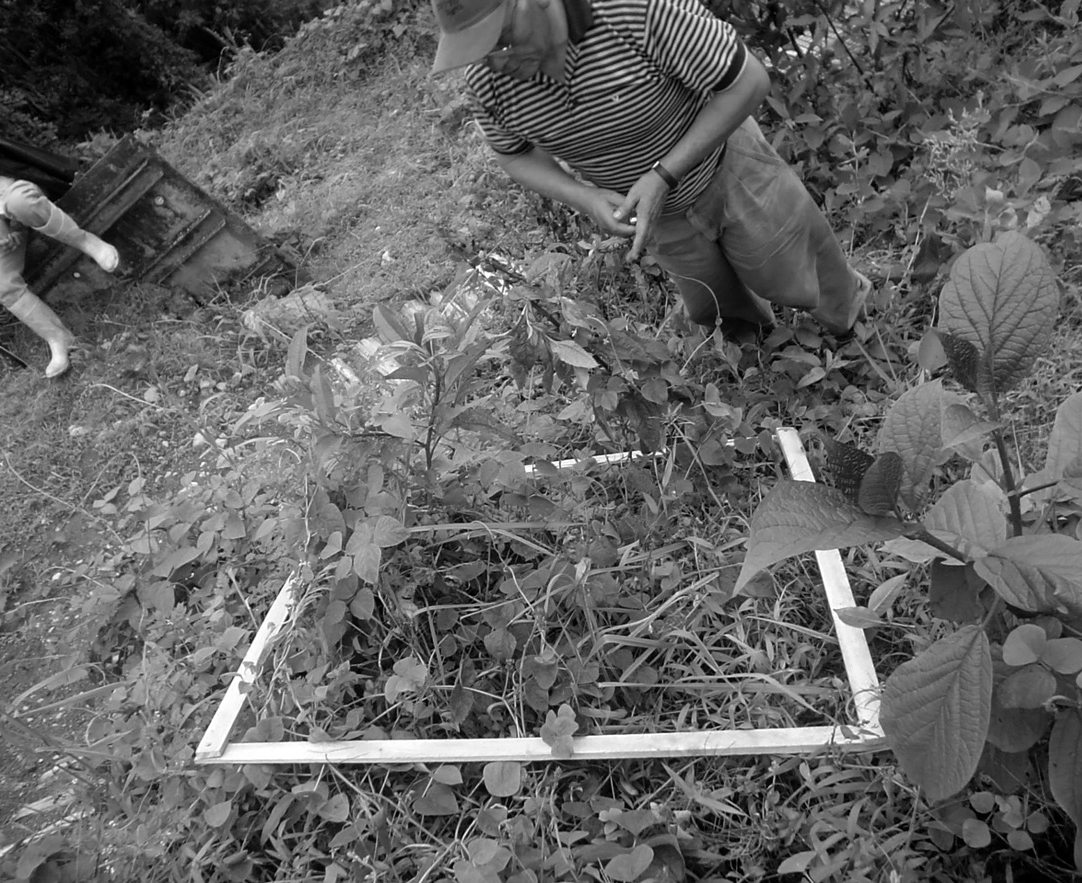 Área
Mínima, conteo e identificación.