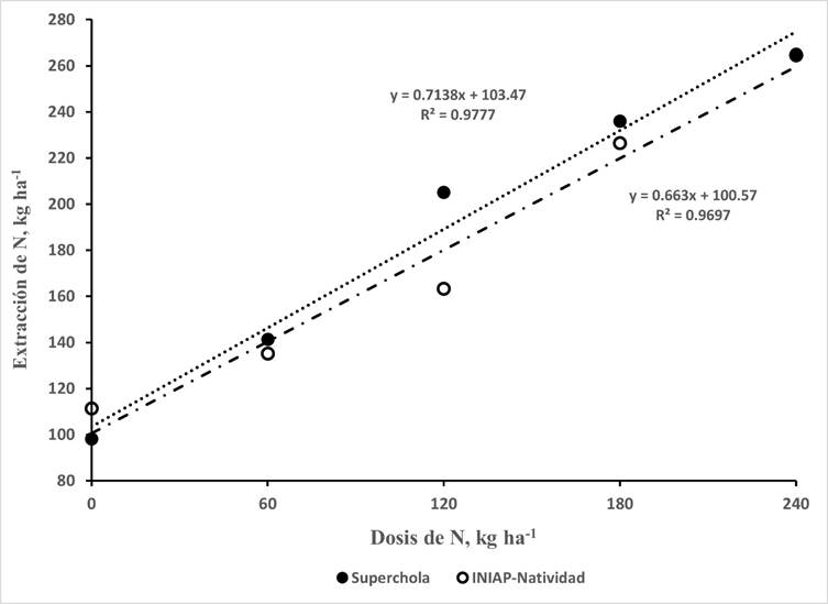 Extracción total de nitrógeno de las variedades Superchola e INIAP-Natividad en Cortijo Bajo, Quimiag, Chimborazo.