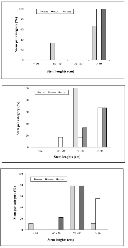 Distribution of the stems per category (%) according to their length
(cm), for plants grown with one (a), two (b) and three stems (c). 



 