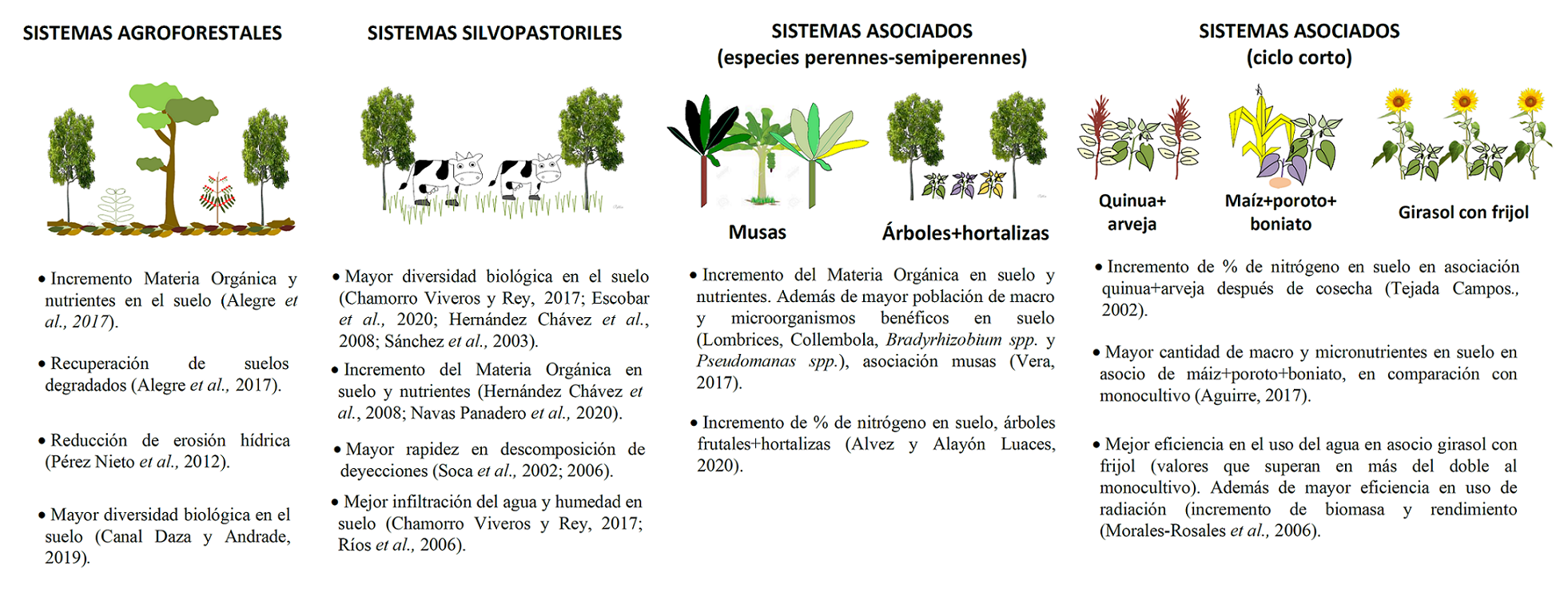 Ventajas de sistemas asociados en relación con las propiedades del suelo y el uso de recursos naturales.