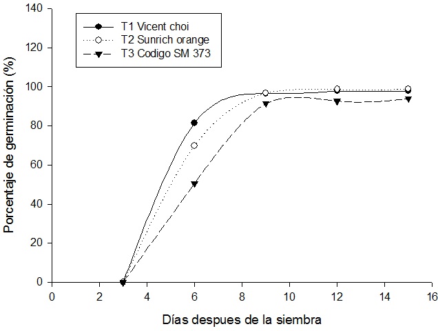 Dinámica del porcentaje de germinación durante 15 días posteriores a la siembra en los cultivares híbridos Vicent Choice, Sunrich Orange y SM-373.