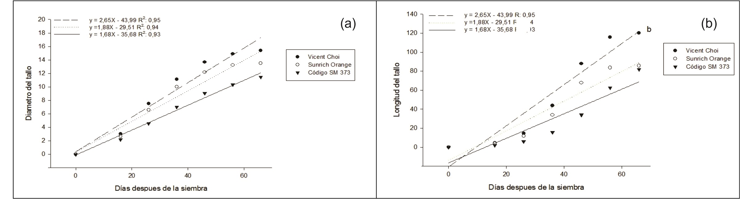 Diámetro (a) y longitud (b) de tallo de tres cultivares híbridos de girasol en función del ciclo del cultivo.
