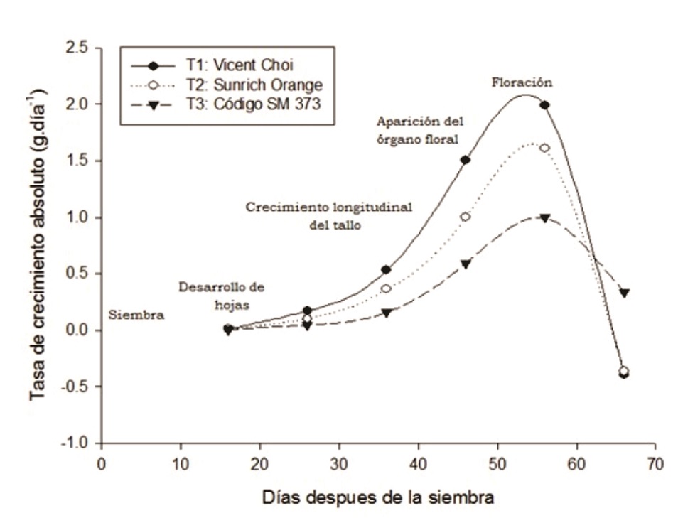 Tasa de crecimiento absoluto de tres cultivares híbridos de girasol en función del tiempo.